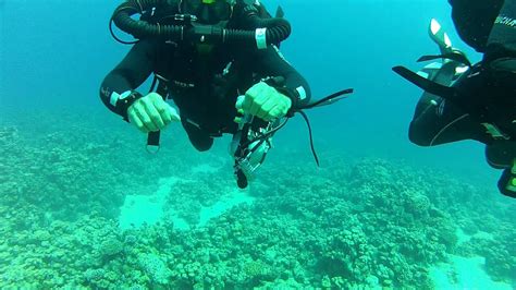 Deep Sea Diving Tutorial 的图像结果