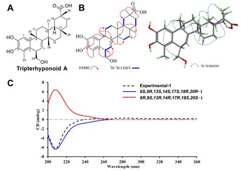 Tripterhyponoid A from Tripterygium hypoglaucum Inhibiting MRSA by ...