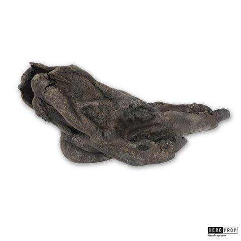 Image result for Alien Foot Real