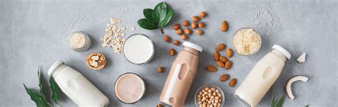 What are Plant-Based Drinks and their Benefits – MulSecrets