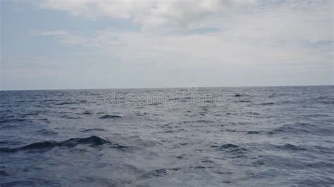 Image result for Side View Motion