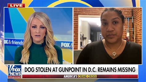 Dog stolen at gunpoint in DC amid nationwide crime surge | Fox News Video