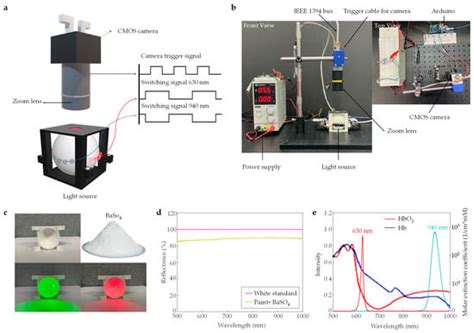 Pulse Oximetry Imaging System Using Spatially Uniform Dual Wavelength ...