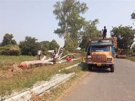 Side Effect Of Statue Of Unity, Thousand Of Trees Destroyed Near Kevdiya
