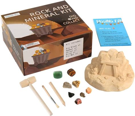 Buy Science Educational Toys Mineral Rock Excavation & Collection Kit ...