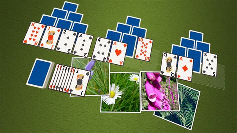 TriPeaks Plants TV:Amazon.in:Appstore for Android