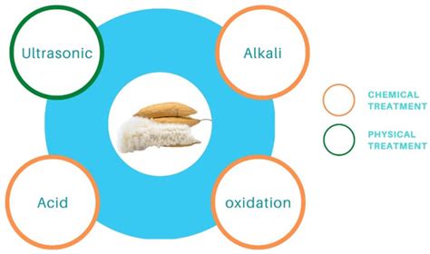 Biobased Kapok Fiber Nano-Structure for Energy and Environment ...
