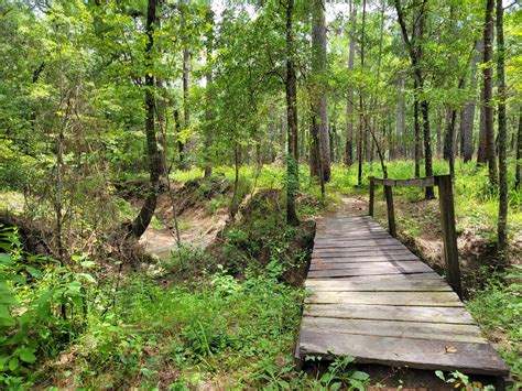 Lone Star and Little Lake Creek Trail Loop: A Texan Tapestry of ...