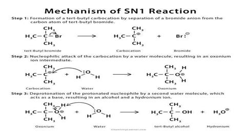 Nucleophilic substitution type ( Sn1&sn2) mechanism difference between Sn1& sn2' | PPTX