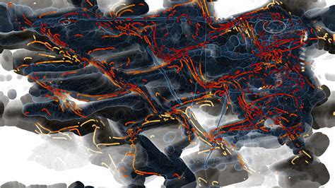 Project M Visualizer Demo 的图像结果