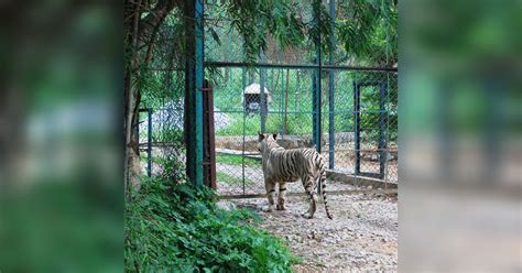 Explore The Wilderness At National Parks And Safaris | LBB