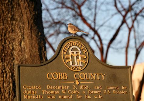 Best Tips for Appealing with the Cobb County Tax Assessor