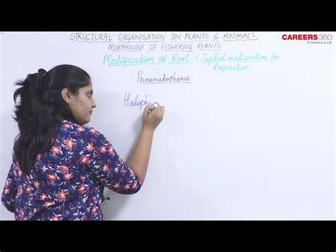 Image result for NEET Root Modification Questions