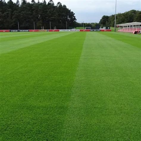 Natural Grass Field 的图像结果