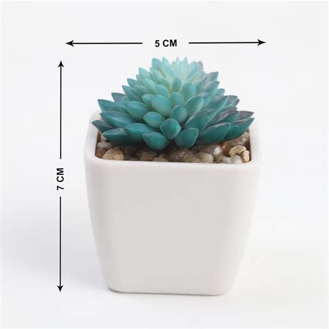 Buy Spinel Artificial Flaming Katty Succulent in Pot from Home Centre ...