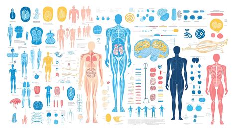 Biology Body Parts 的图像结果