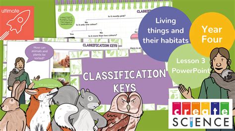 Classification Key for Kids 的图像结果