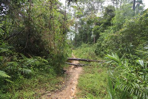 Hamburger Hill - Vietnam War Travel