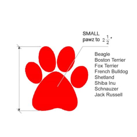 Buy Protex PawZ Boots for Dogs (Camo) Online | Supertails