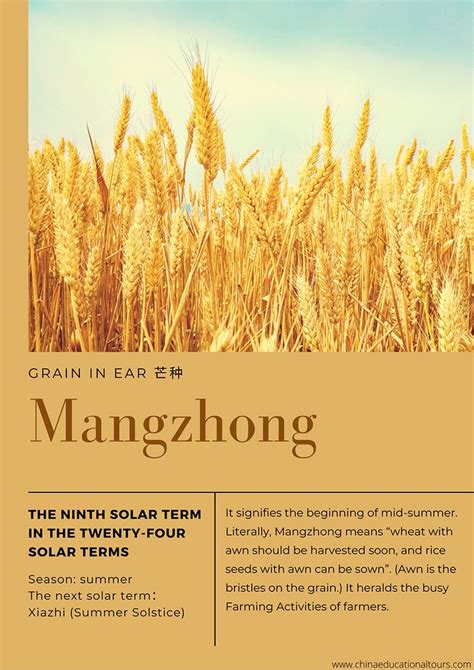 Celebrating Mangzhong (芒种) - Imperial Harvest