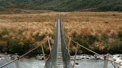 Southern Wilderness NZ Ltd | Activities & Day Trips in Nelson Tasman ...