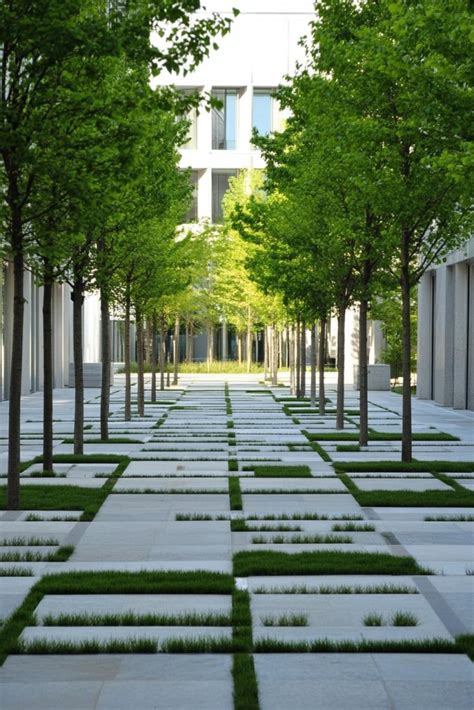 Image result for Landscape Architecture Line Design Examples