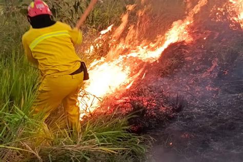 Incendios: no se puede perder de vista a la Amazonia | EL ESPECTADOR