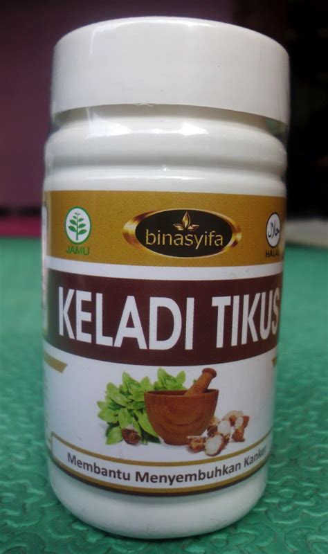 Keladi - JungleKey.in Image #50