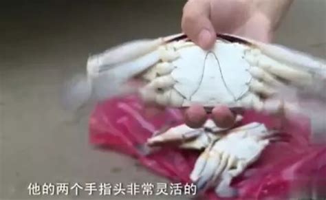 一秒“死蟹变活蟹”！海鲜市场这招太阴险，99%的人都中_螃蟹