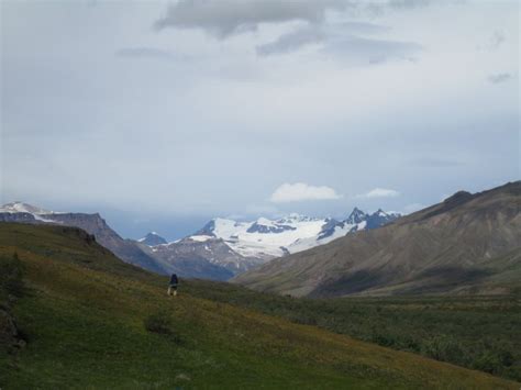 Image result for DNA Barcoding Plants