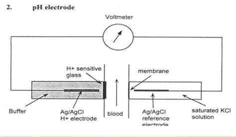 Image result for Clrk Electrode ABG PaO2