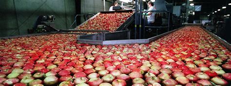 Image result for Fast Food Processing