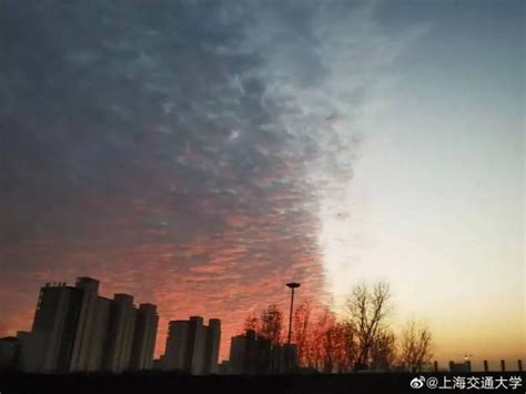 上海出现“阴阳天”与江苏常州地震有关？官方辟谣_新民社会_新民网