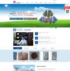 南通网站优化资深策划 赵玲玲-南通龙鼎网络技术有限公司