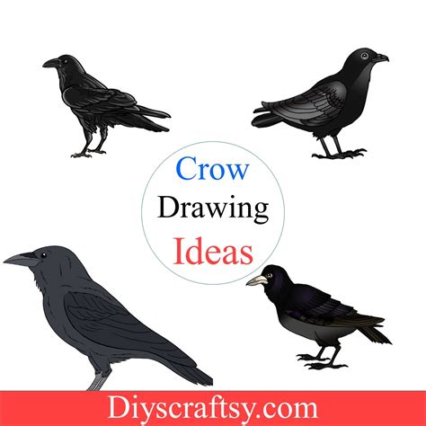 Image result for Crow Drawing Tutorial