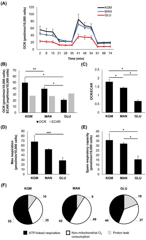 Chronic Hyperglycemia Compromises Mitochondrial Function in Corneal ...