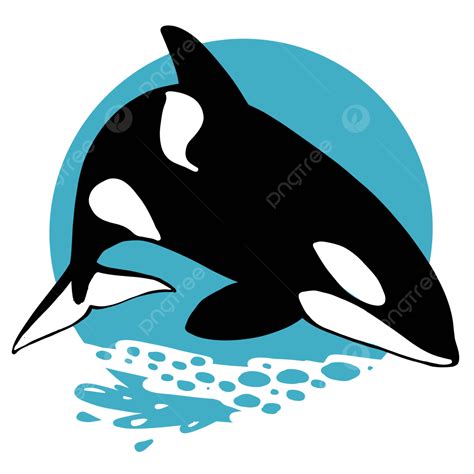 Orca Fisch Vektor, Orca Fisch, Killerwal; Mörderwal; Orka, Orca Logo PNG und Vektor zum ...