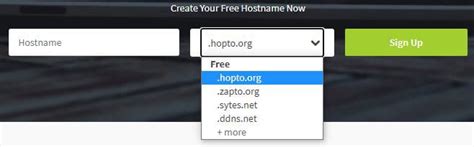 Raspberry Pi OpenVPN Client 的图像结果