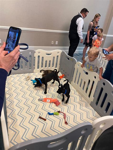 DIAL IT UP! – The blog site of the NSU Law Disability Inclusion and ...