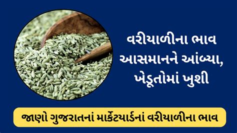 Fennel Seeds Rate Today: વરીયાળીના ભાવ આસમાનને આંબ્યા, જાણો ગુજરાતનાં ...