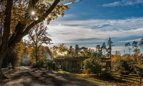 RSPB THE LODGE NATURE RESERVE (2025) All You Need to Know BEFORE You Go ...