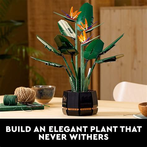 Buy LEGO Bird of Paradise Building Kit for Ages 16+ Online at Best ...
