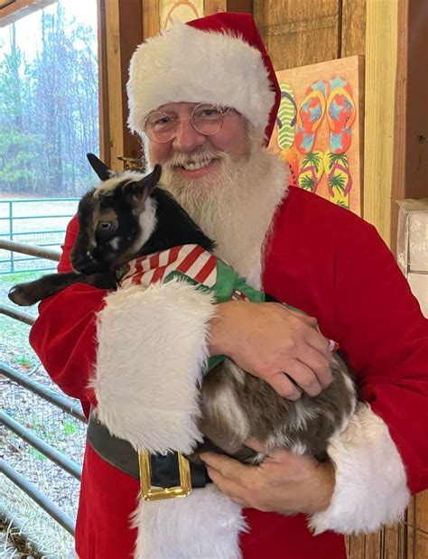 Goat Yoga with Santa, Double Durango Farm, Milan, 14 December 2024 ...