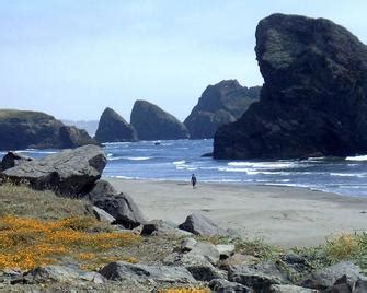 Gold Beach Hotels from ₹ 6,512/night | Compare Best Hotels in Gold ...