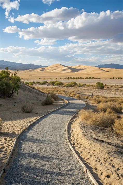 18+ Creative Desert Landscaping Ideas on a Budget