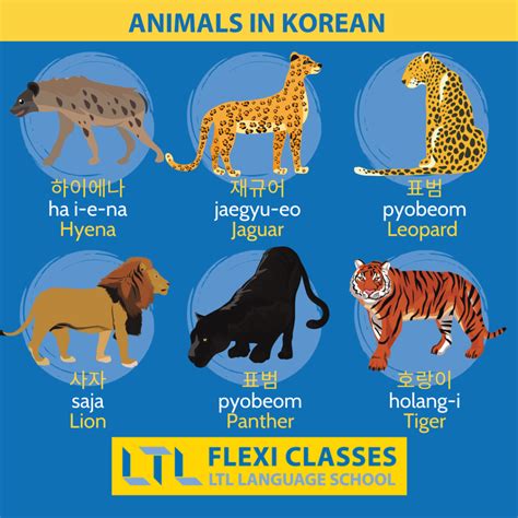 Animal That Represents Korea Korea Tiger Art Hi Res Stock Photography