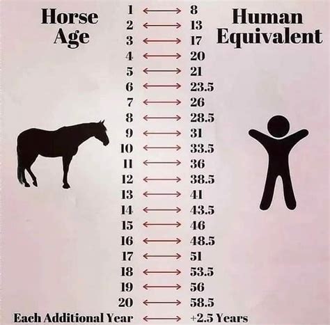 Pin by debbie rench on Meanwhile back at the ranch........ :) | Horse ...