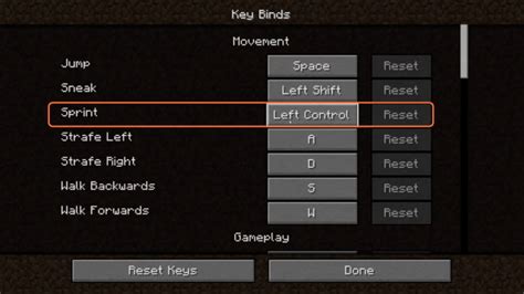 Image result for How to Sprint in Minecraft Java