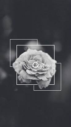 Aesthetic Iphone Black And White Wallpaper by Black And White Aesthetic Phone Wallpapers Top Free Aesthetic Iphone Black And White Wallpaper