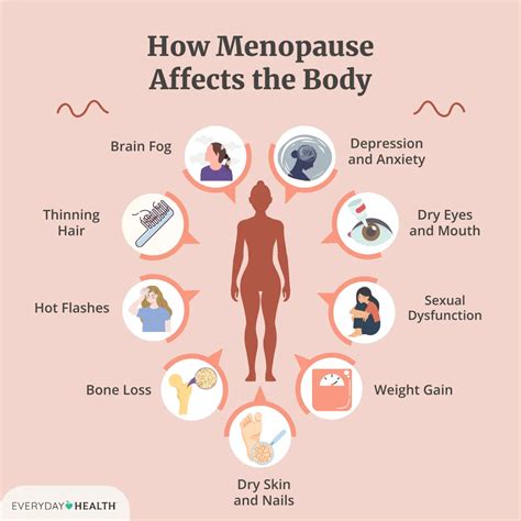 What Is Menopause and the Menopausal Transition?